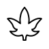 maple leaf